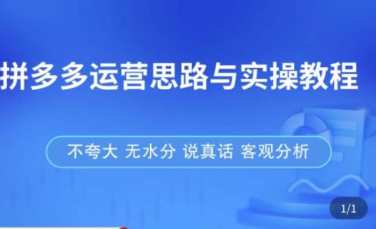 拼多多店铺运营思路与实操教程，快速学会拼多多开店和运营，少踩坑，多盈利-51资源库