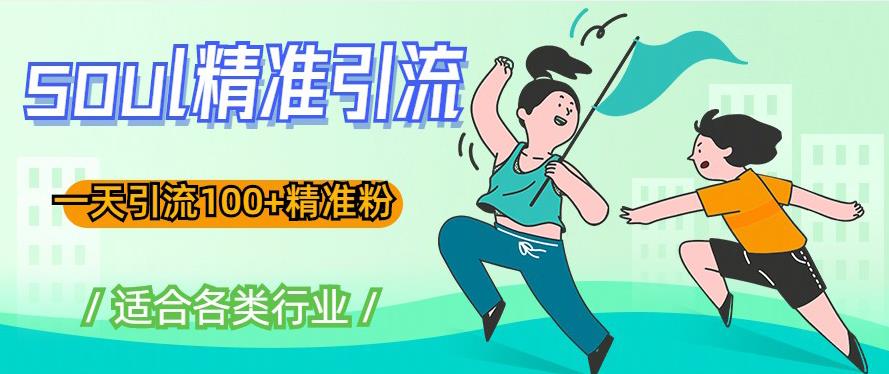soul精准引流系列课程，一天引流100+精准粉，适合各类行业-51资源库