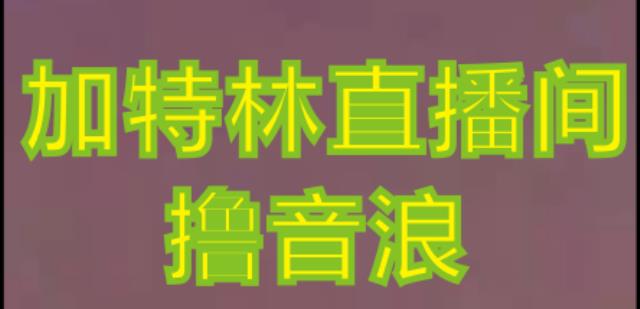 抖音加特林直播间搭建技术，抖音0粉开播，暴力撸音浪，2023新口子，每天800+【素材+详细教程】-51资源库
