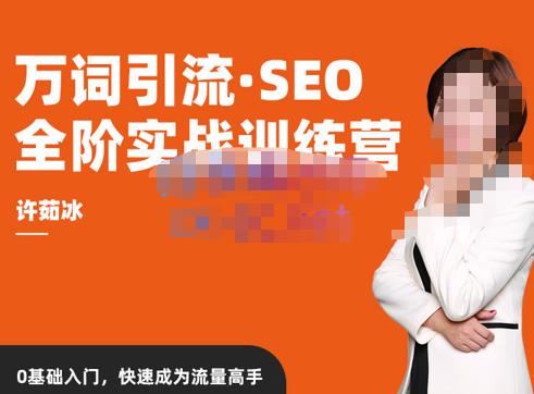 许茹冰·万词引流-SEO全阶实战训练营，0基础入门，快速成为流量高手-51资源库