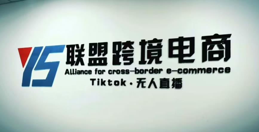 YS联盟·Tiktok无人直播，不出镜不剪辑不拍摄不发货无售后的跨境短视频躺赚玩法-51资源库