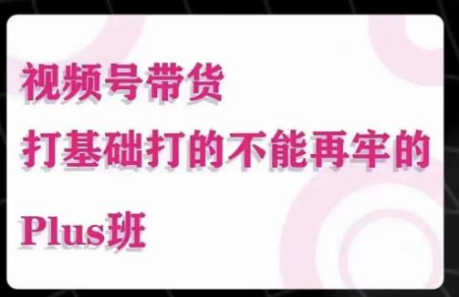 大播汇·视频号带货Puls班，视频号底层逻辑，起号自然流鱼塘等玩法-51资源库
