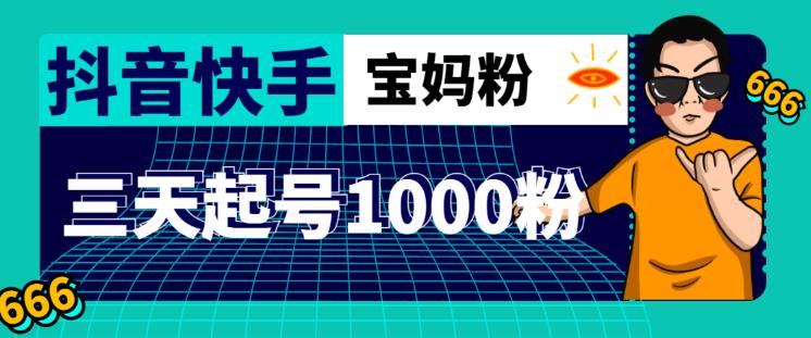 抖音快手三天起号涨粉1000宝妈粉丝的核心方法【详细玩法教程】-51资源库