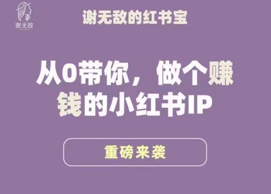 谢无敌·小红书运营大宝典，从0带你做个赚钱的小红书IP-51资源库
