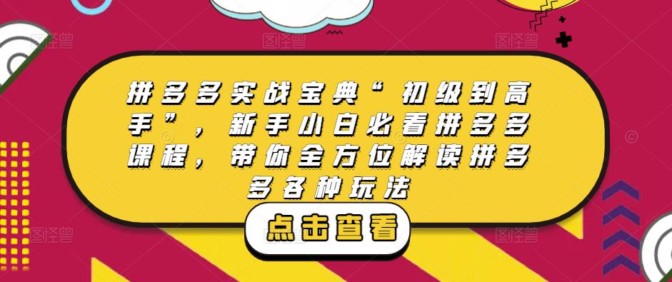 拼多多实战宝典“初级到高手”，新手小白必看拼多多课程，带你全方位解读拼多多各种玩法-51资源库