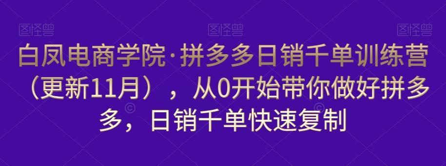 白凤电商学院·拼多多日销千单训练营，从0开始带你做好拼多多，日销千单快速复制（更新知2023年3月）-51资源库