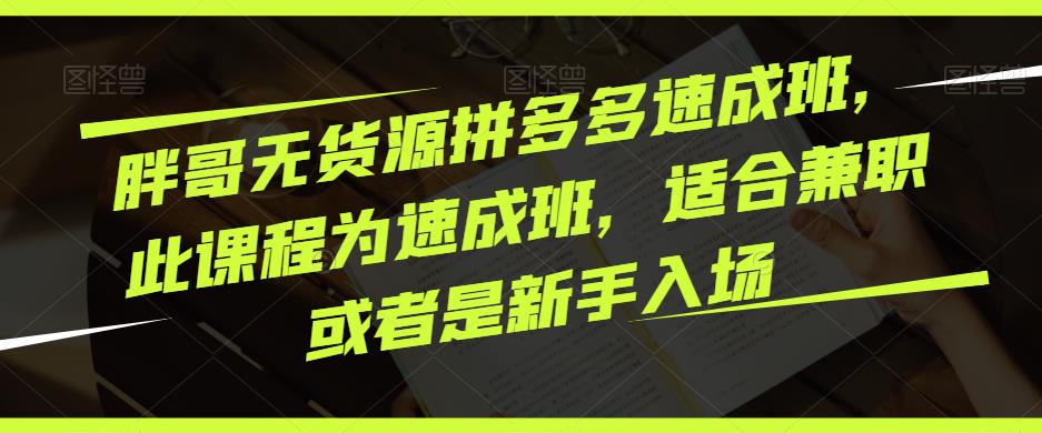 胖哥无货源拼多多速成班，此课程为速成班，适合兼职或者是新手入场-51资源库
