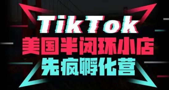 疯人院·TikTok美国半闭环小店孵化营，抢占TikTok美国蓝海市场，开店、运营、带货、投流全实操-51资源库