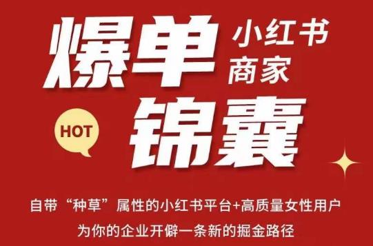 无畏·小红书商家爆单锦囊，掌握小红书各大规则，快速精准抢占行业和市场-51资源库