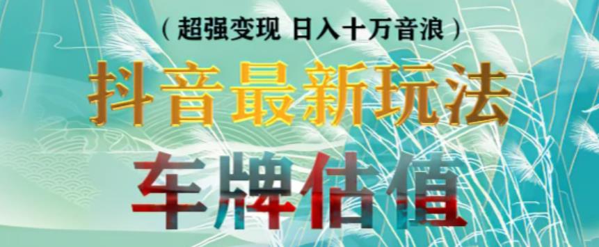 抖音最新无人直播变现直播车牌估值玩法项目，轻松日赚几百+【详细玩法教程】-51资源库
