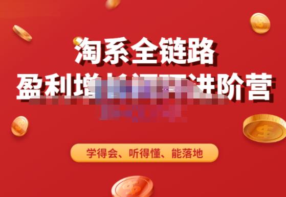 淘系全链路盈利增长闭环进阶营，融合全店动销，学得会、听得懂、能落地！-51资源库