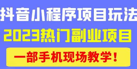 抖音小程序9.0新技巧，2023热门副业项目，动动手指轻松变现-51资源库