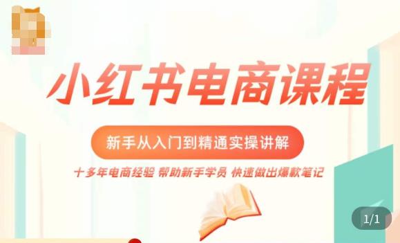 小红书电商新手入门到精通实操课，从入门到精通做爆款笔记，开店运营-51资源库