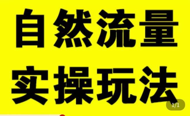 拼多多自然流量天花板，拼多多自然流的实操玩法，自然流量是怎么来的，如何开车带来自然流等知识-51资源库