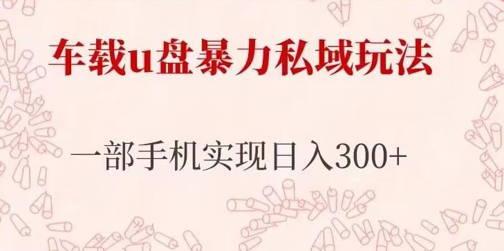 车载u盘暴力私域玩法，长期项目，仅需一部手机实现日入300+-51资源库