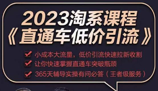 2023直通车低价引流玩法课程，小成本大流量，低价引流快速拉新收割，让你快速掌握直通车突破瓶颈-51资源库