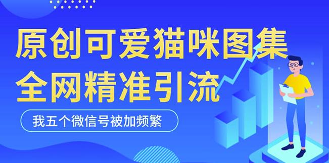 黑科技纯原创可爱猫咪图片，全网精准引流，实操5个VX号被加频繁-51资源库