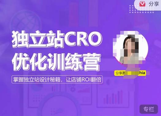 独立站CRO优化训练营，掌握独立站设计秘籍，打造高转化的独立站，让店铺ROI翻倍-51资源库