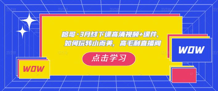 哈哥·3月线下实操课高清视频+课件，如何玩转小而美，高毛利直播间-51资源库