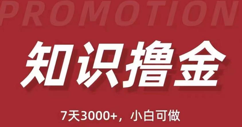 抖音知识撸金项目：简单粗暴日入1000+执行力强当天见收益(教程+资料)-51资源库