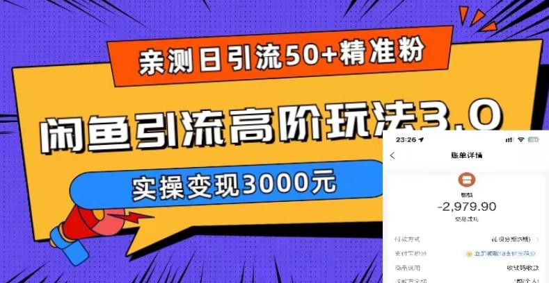 亲测日引50+精准粉，闲鱼引流高阶玩法3.0，实操变现3000元【揭秘】-51资源库