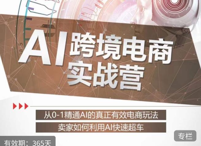 白龙老师·AI跨境电商实战营：从0-1精通Al的真正有效电商玩法，卖家如何利用Al快速超车-51资源库
