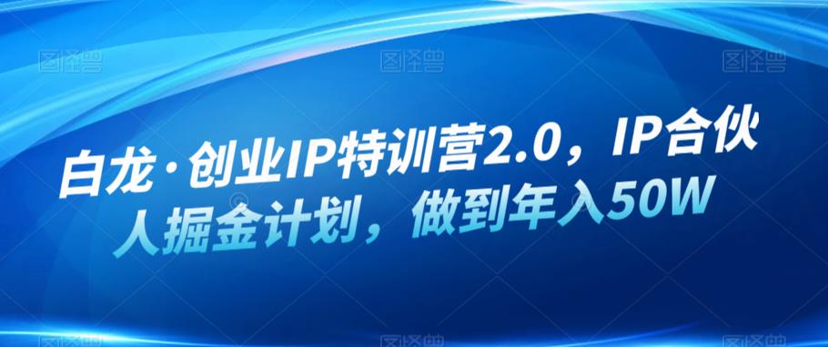 白龙·创业IP特训营2.0，IP合伙人掘金计划，做到年入50W-51资源库