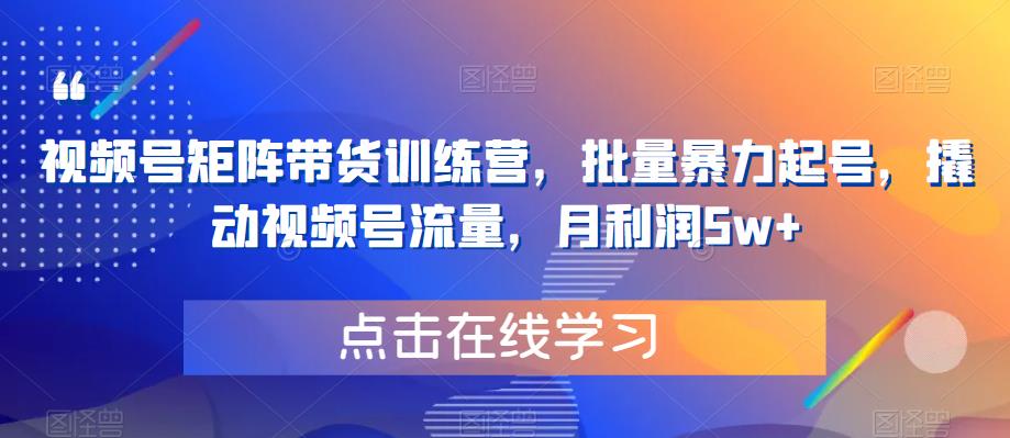 视频号矩阵带货训练营，批量暴力起号，撬动视频号流量，月利润5w+-51资源库