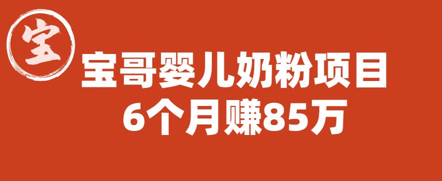 宝哥婴儿奶粉项目，6个月赚85w【图文非视频】【揭秘】-51资源库