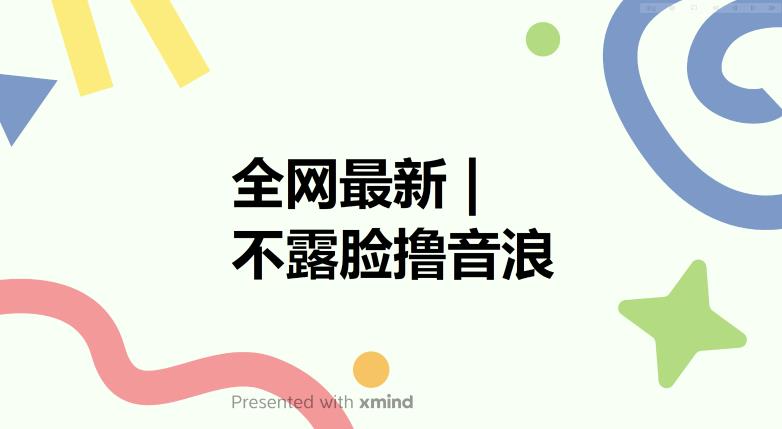 全网最新不露脸撸音浪，跑通自动化成交闭环，实现出单+收徒收益最大化【揭秘】-51资源库