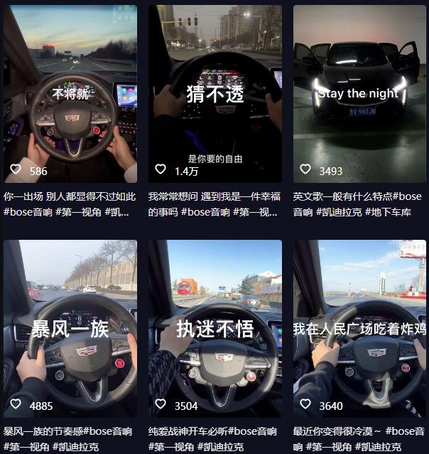 抖音开车视频项目，0基础操作，每天五分钟，月入1W+【揭秘】-51资源库