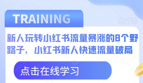 新人玩转小红书流量暴涨的8个野路子，小红书新人快速流量破局-51资源库