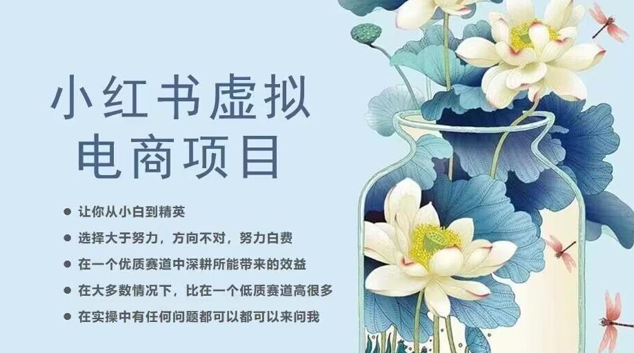 小红书虚拟电商从0到1，让你从小白到精英（20节实操课程）-51资源库