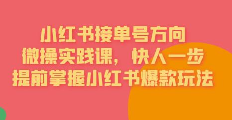 接单号方向·小红书微操实践课，快人一步，提前掌握小红书爆款玩法-51资源库