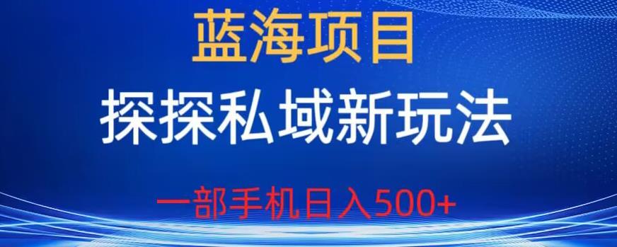 蓝海项目，探探私域新玩法，一部手机日入500+很轻松【揭秘】-51资源库