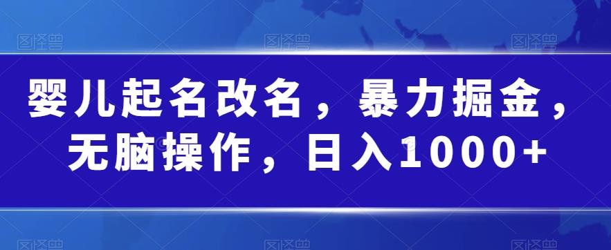 婴儿起名改名，暴力掘金，无脑操作，日入1000+【揭秘】-51资源库