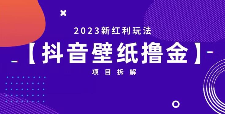 抖音壁纸小程序创作者撸金项目，2023新红利玩法【项目拆解】-51资源库