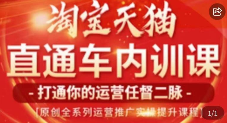 天问电商·2023淘宝天猫直通车内训课，零基础学起直通车运营实操课程-51资源库