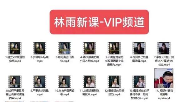 林雨新课VIP频道，玩赚私域/朋友圈/社群-51资源库