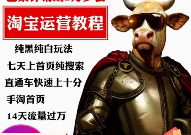 猫老师·淘系算法逆向解密，​纯黑纯白玩法，七天上首页纯搜索，手淘首页14天流量过万-51资源库