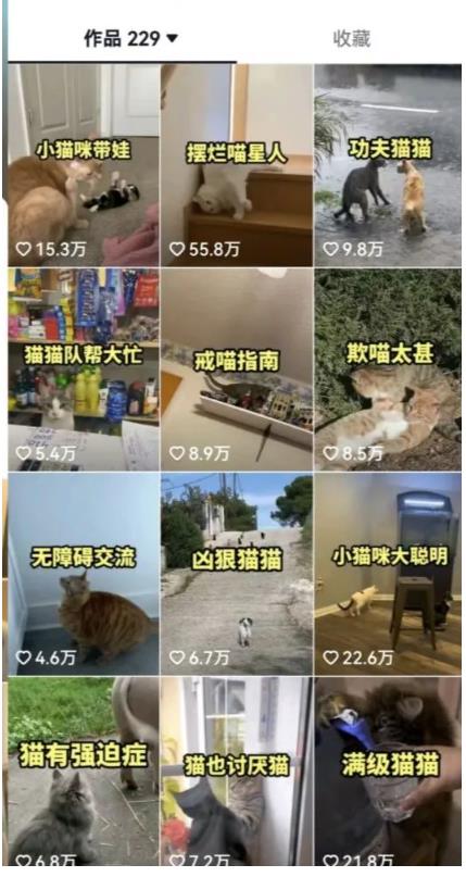 拆解：抖音盘点类中视频变现副业项目，视频版一条龙大解析分享给你-51资源库
