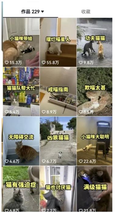 拆解抖音盘点类中视频变现副业项目，视频版一条龙大解析分享给你【视频课程】-51资源库