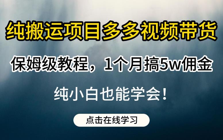 纯搬运项目多多视频带货保姆级教程，1个月搞5w佣金，纯小白也能学会【揭秘】-51资源库
