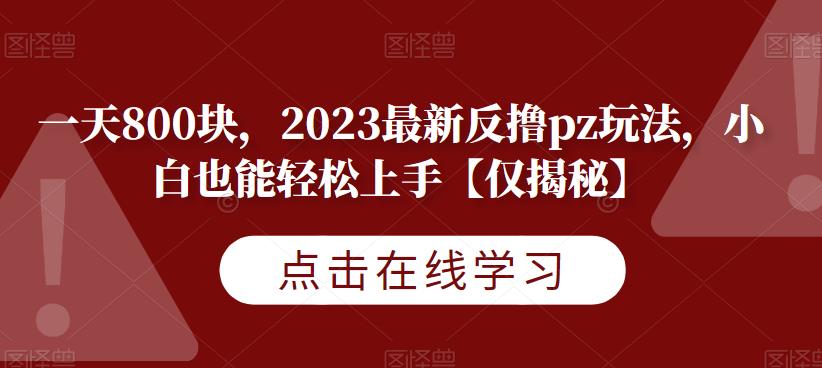 一天800块，2023最新反撸pz玩法，小白也能轻松上手【仅揭秘】-51资源库