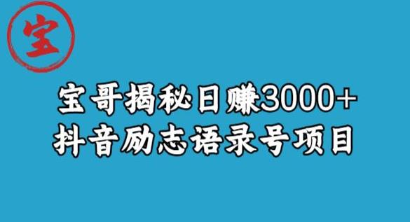 宝哥揭秘日赚3000+抖音励志语录号短视频变现项目-51资源库