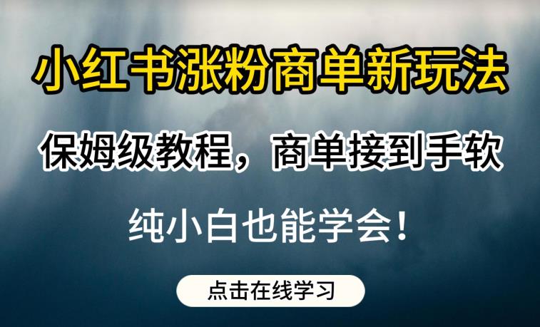 小红书涨粉商单新玩法，保姆级教程，商单接到手软，纯小白也能学会【揭秘】-51资源库