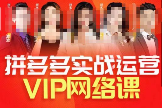 推易拼多多VIP全套直播课程，拼多多店铺实操玩法+实战玩法选款内功+直通车高阶等-51资源库