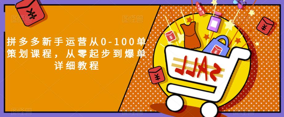 拼多多新手运营从0-100单策划课程，从零起步到爆单详细教程-51资源库