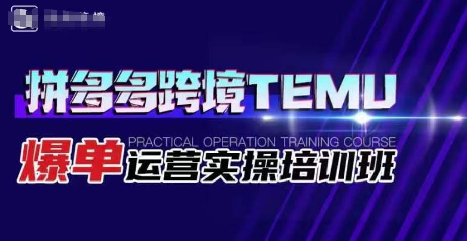 拼多多跨境TEMU爆单运营实操培训班，海外拼多多的选品、运营、爆单-51资源库