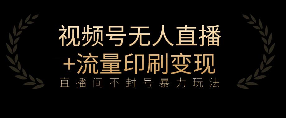 全网首发视频号不封号无人直播暴利玩法+流量印刷机变现，日入1000+【揭秘】-51资源库